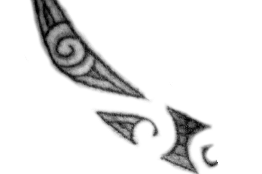 A black and white image of a feather-shaped tattoo.
