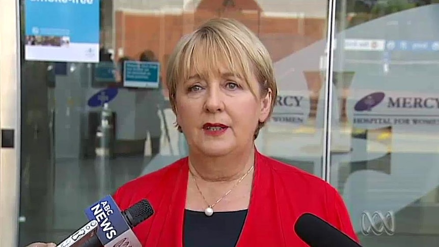 Families Minister Jenny Macklin holds news conference