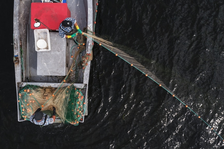 A birds-eye view of two men on a small boat pulling in a net disappearing into the ocean.