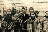 A group of children behind a barbed wire fence.