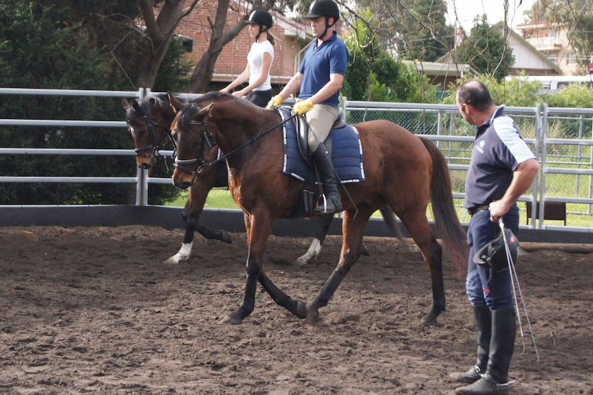 Hundreds of horses have graduated from rehabilitation program.