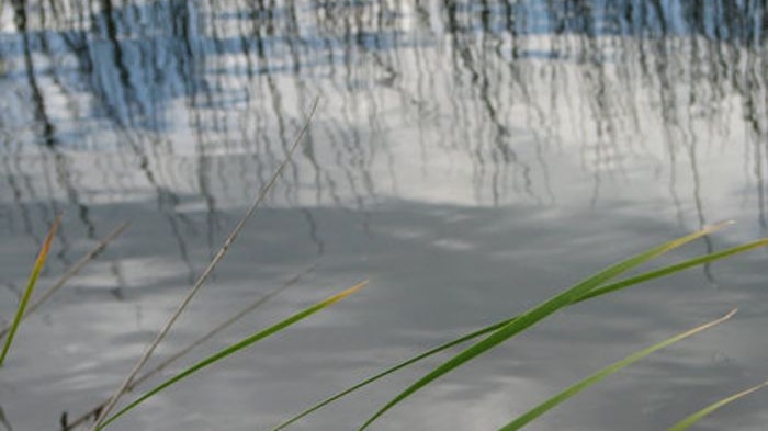 The Hunter Environment Lobby is calling for increased monitoring of salinity levels and other toxins entering the Hunter River.