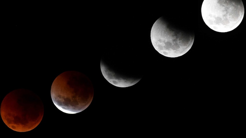 Australians watched the move gradually turn red due to the lunar eclipse.  (Photo:AAP/Joel Carrett)