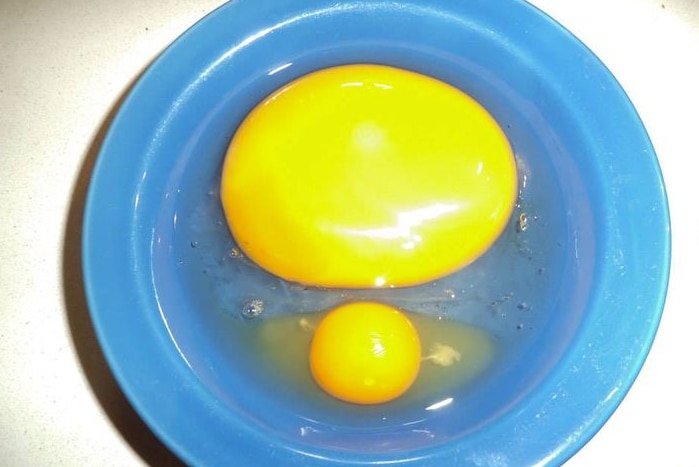 Two cracked eggs in a bowl, side by side. One of the yolks looks about ten times bigger than the other.