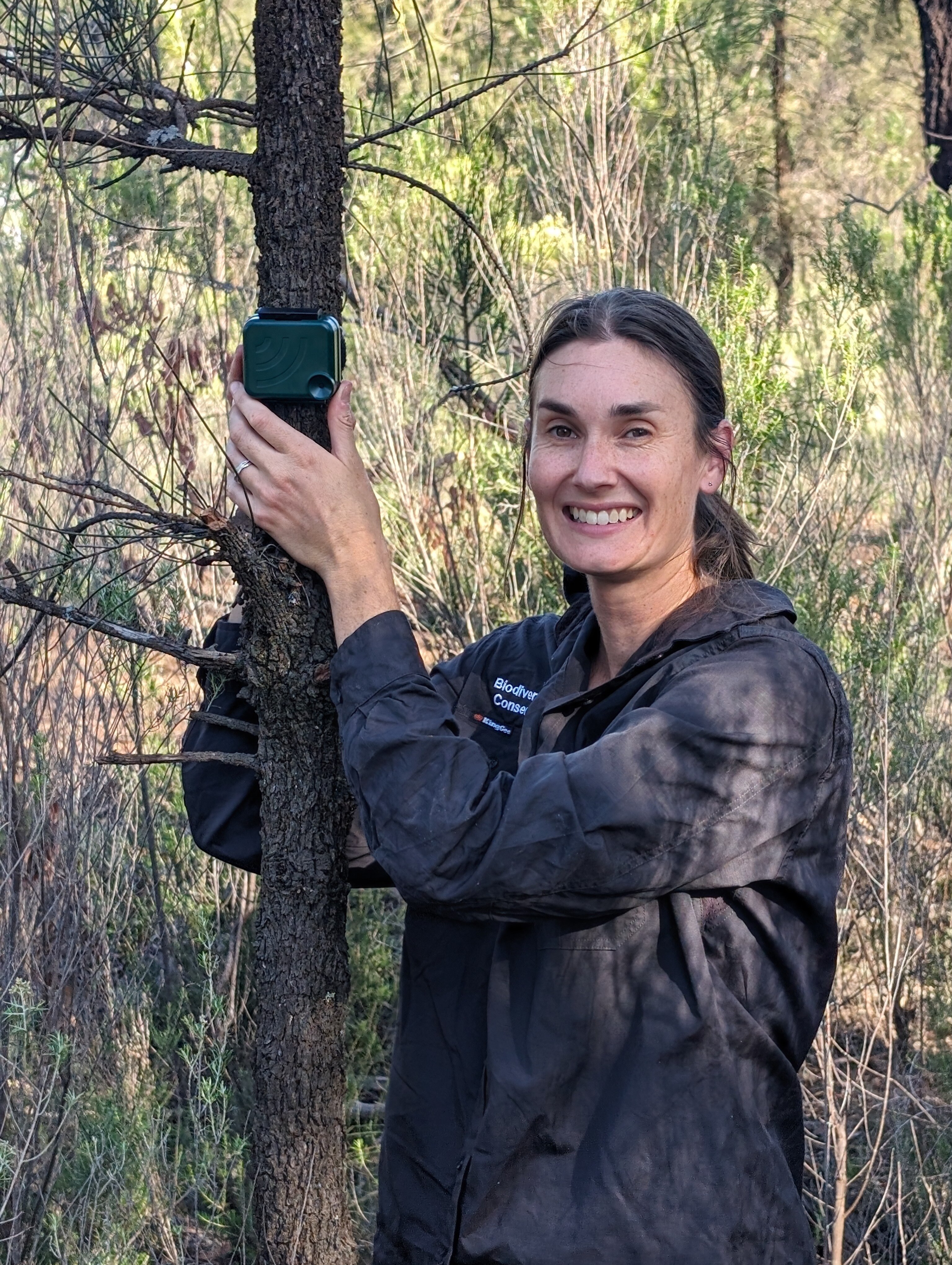 A smiling woman with dark hair affixes a small monitoring device to a tree.