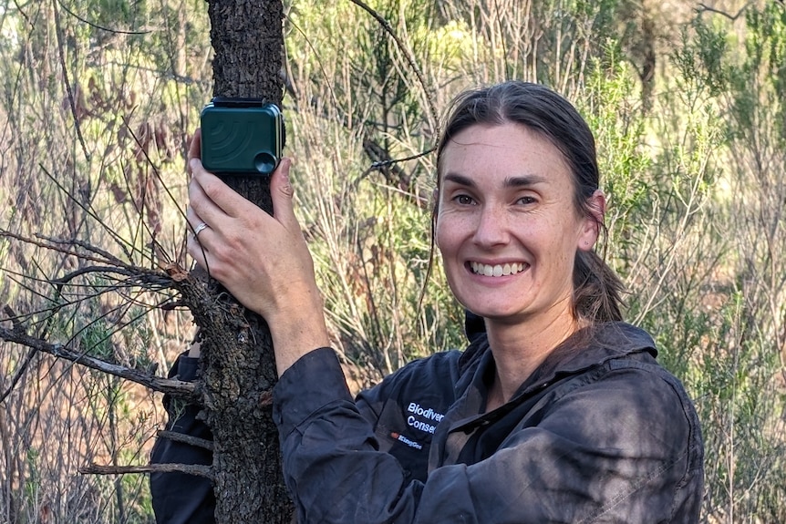 A smiling woman with dark hair affixes a small monitoring device to a tree.