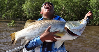 Barramundi