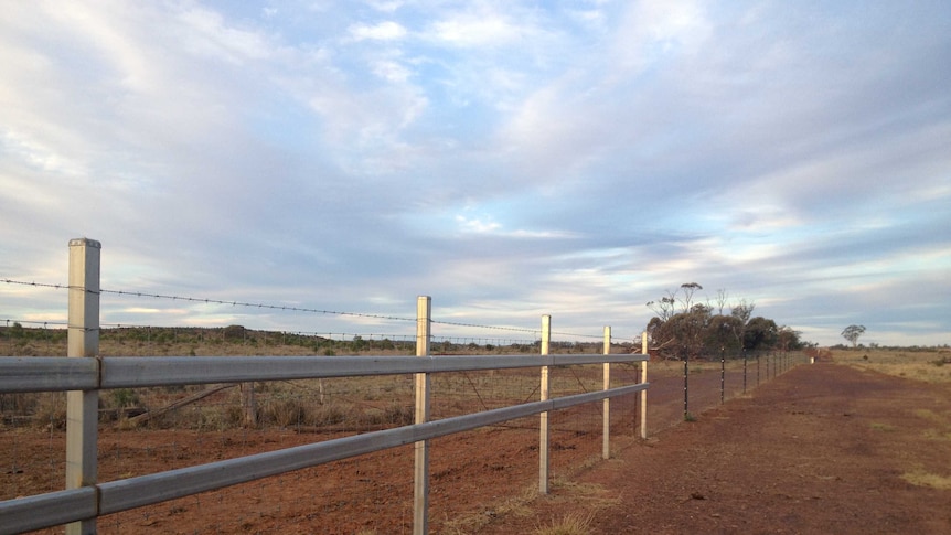 A wild dog fence designed to keep dogs from attacking livestock.