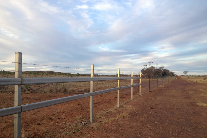 A fence to keep out wild dogs