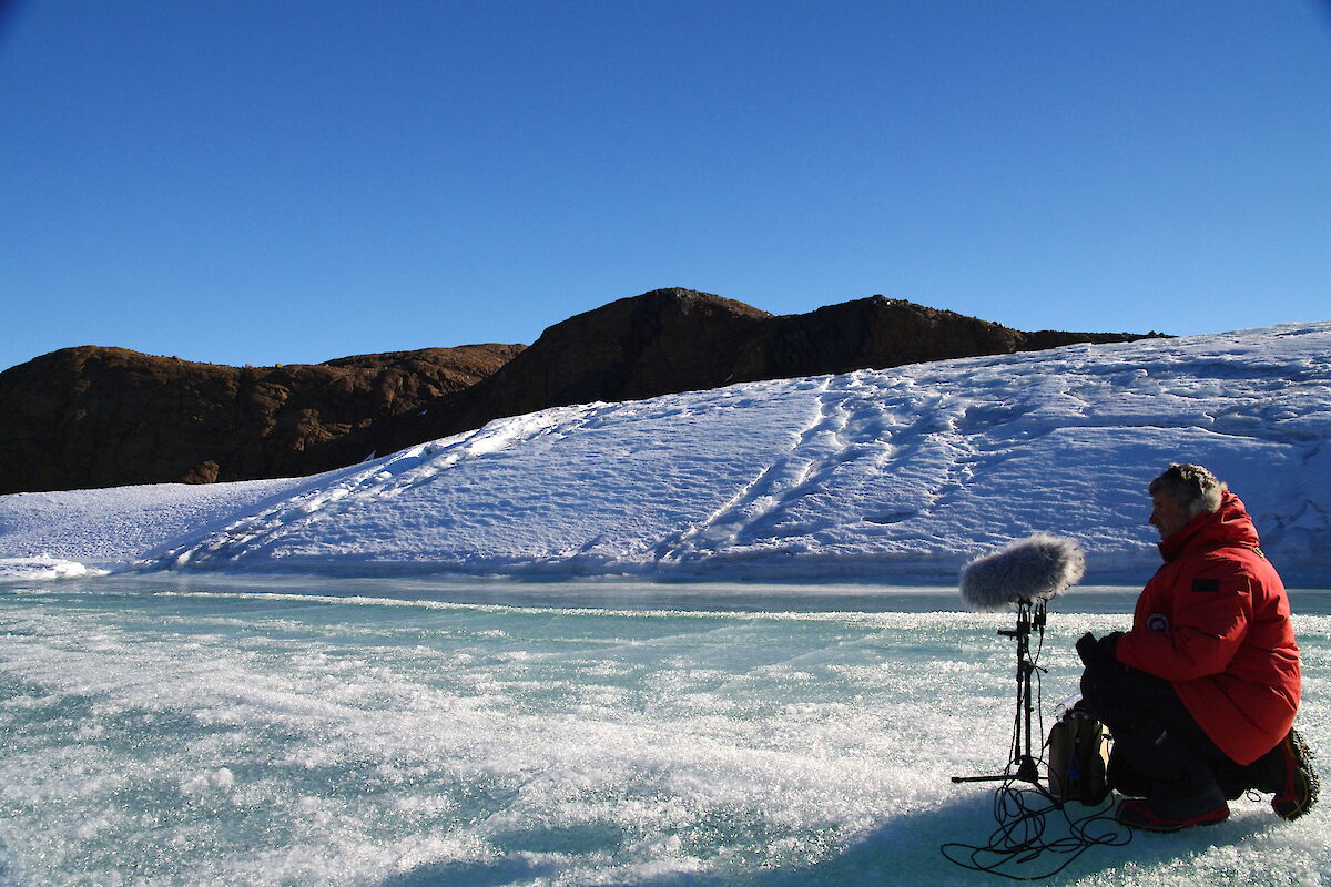Philip Samartzis está ajoelhado no gelo atrás de um microfone com uma biruta grande e fofa.
