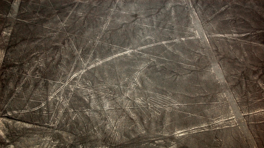 The Nazca drawings are so large that they are best seen from the air.