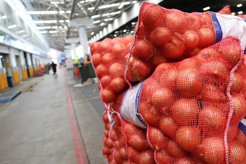 Bags of onions at the Brisbane Markets.