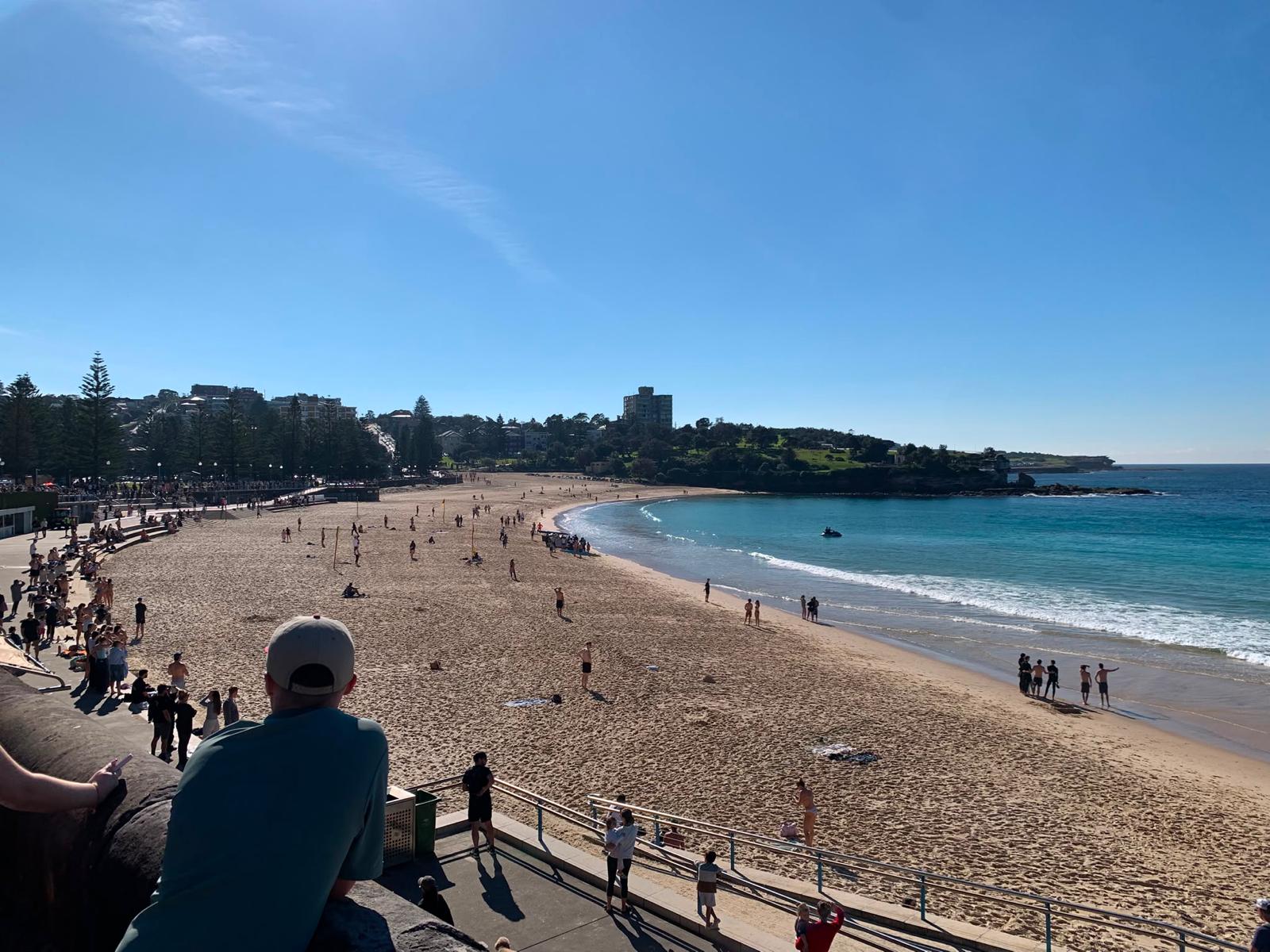 people at coogee beach after a shark attack