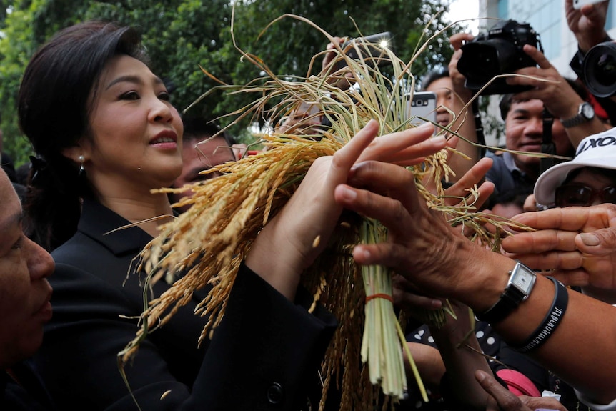 Ousted former Thai Prime Minister Yingluck Shinawatra receives ears of rice from her supporters, November 2016.