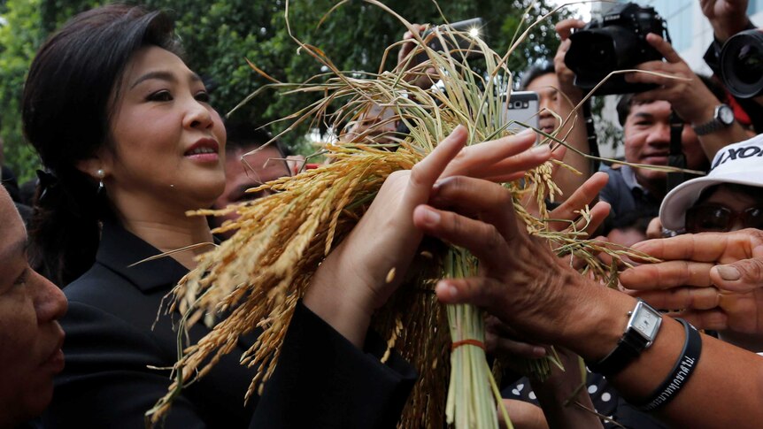 Ousted former Thai Prime Minister Yingluck Shinawatra receives ears of rice from her supporters, November 2016.