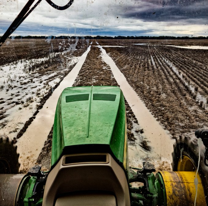 A tractor in a muddy paddock