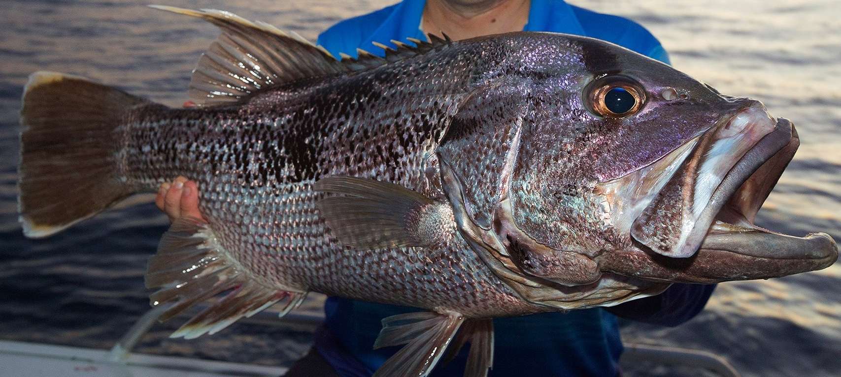 Find out what's biting with Recfishwest.