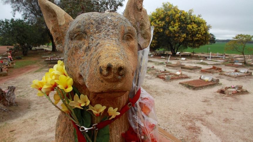 A large stone dog watches over Corrigin Dog Cemetery