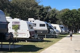 A row of caravans at a holiday park.