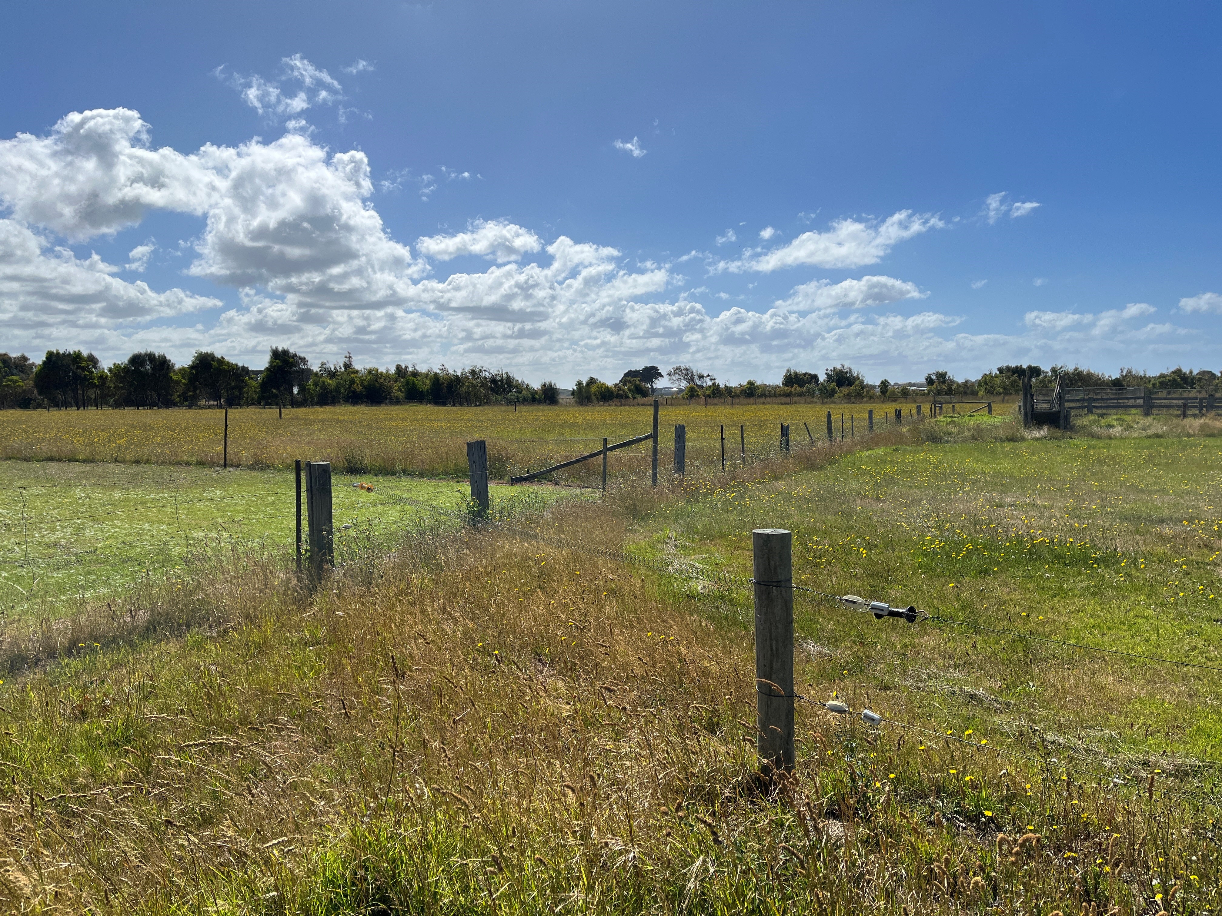 Planning panel supports Port Fairy development but will it lead to