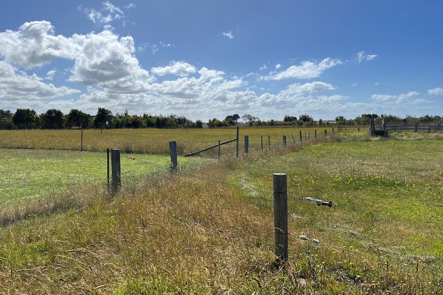 Farmland where the of the Rivers Run Estate housing development in Port Fairy would be