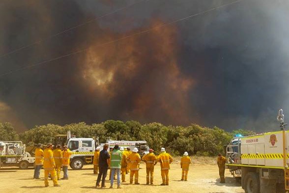 Firefighters view a bushfire burning near Esperance in WA 18 November 2015