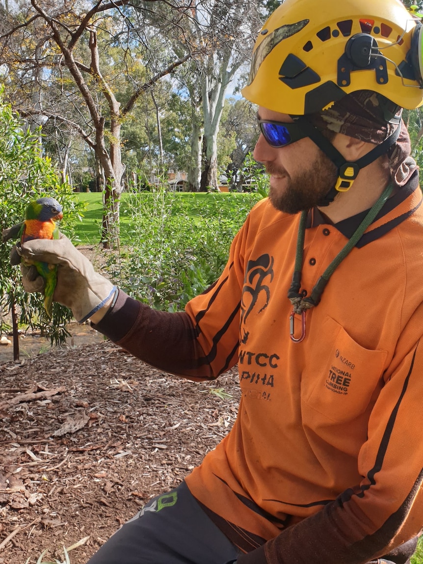 A man in an orange high-vis shirt and helmet holds a bird.