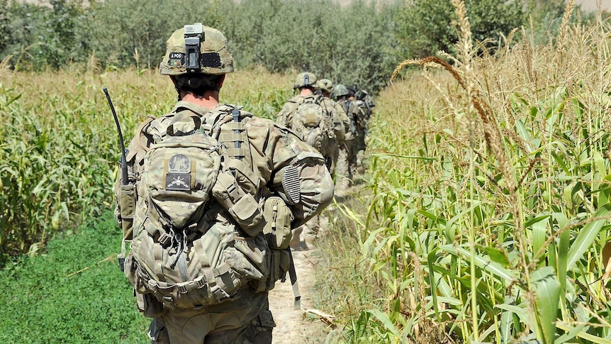 Australian soldiers from Alpha Company, Mentoring Task Force - Three, patrol Mirabad Valley with Afghan National Army soldiers