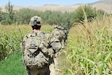 Australian soldiers patrol with Afghan National Army soldiers in Mirabad Valley.