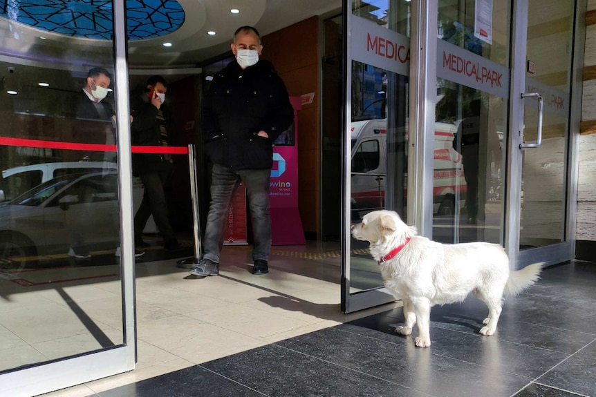 Boncuk looks through the sliding doors of a hospital as men in masks watch on from inside