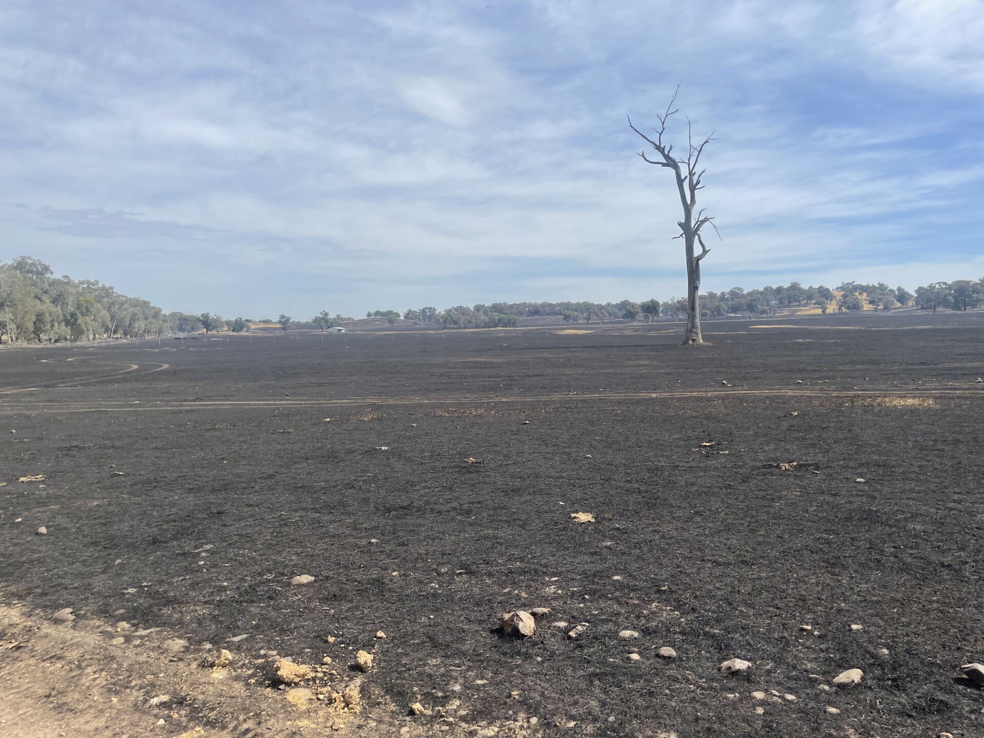Se produjo un incendio en un prado y el suelo quedó calcinado. 