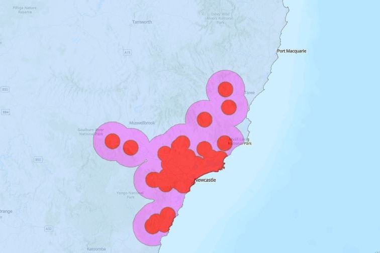 Digital map shows location of varroa mite detections in NSW. 