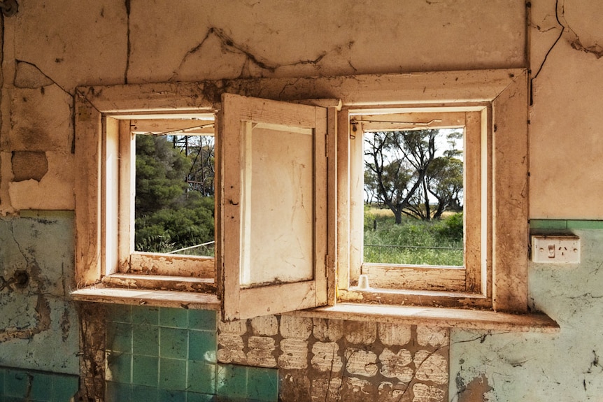 Scene of derelict bathroom all with blue tiles falling off the wall, window open, no glass with green trees in view.