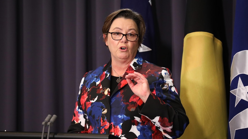 King looks serious and gestures from a lectern while wearing a colourful shirt, with blue curtains behind her.