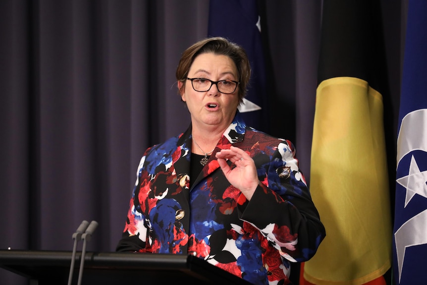 King looks serious and gestures from a lectern while wearing a colourful shirt, with blue curtains behind her.