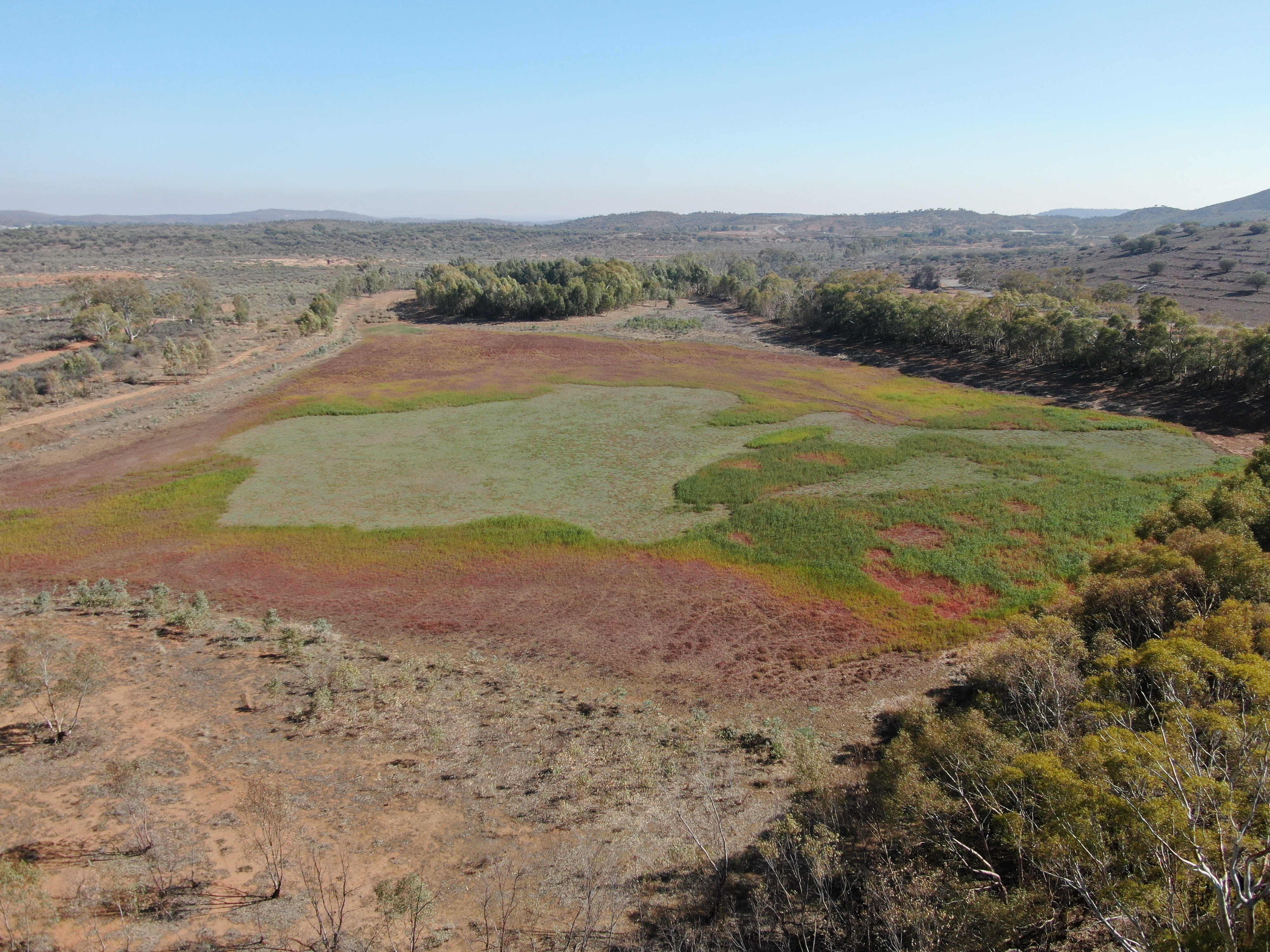 Uma foto aérea ampla mostrando um campo de grama verde clara e vermelha e arbusto seco.