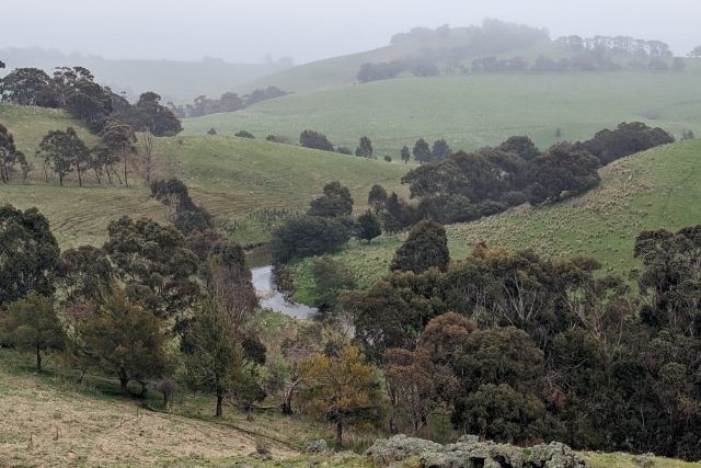 A picture of rolling hills and a creek 