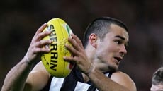 Dockers debut ... Chris Tarrant, pictured while playing for Collingwood (File photo)
