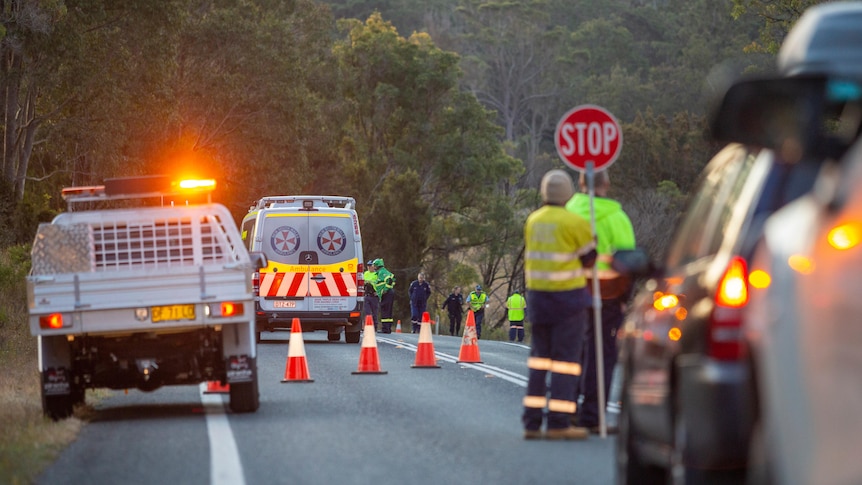 Emergency services and traffic controllers.