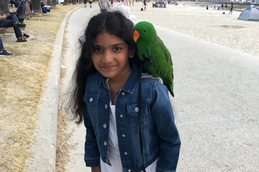 A young girl with a bird on her shoulder