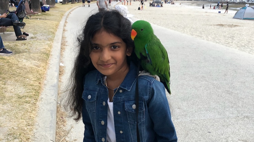 A young girl wearing a blue denim jacket with a bright green parrot on her left shoulder