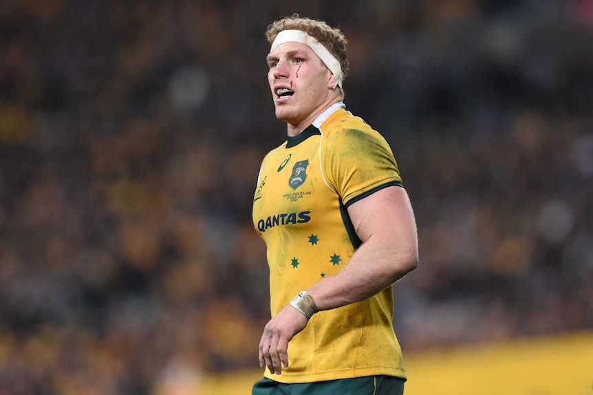 Wallabies flanker David Pocock