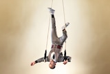 A man in a grey suit hangs upside down on a trapeze.