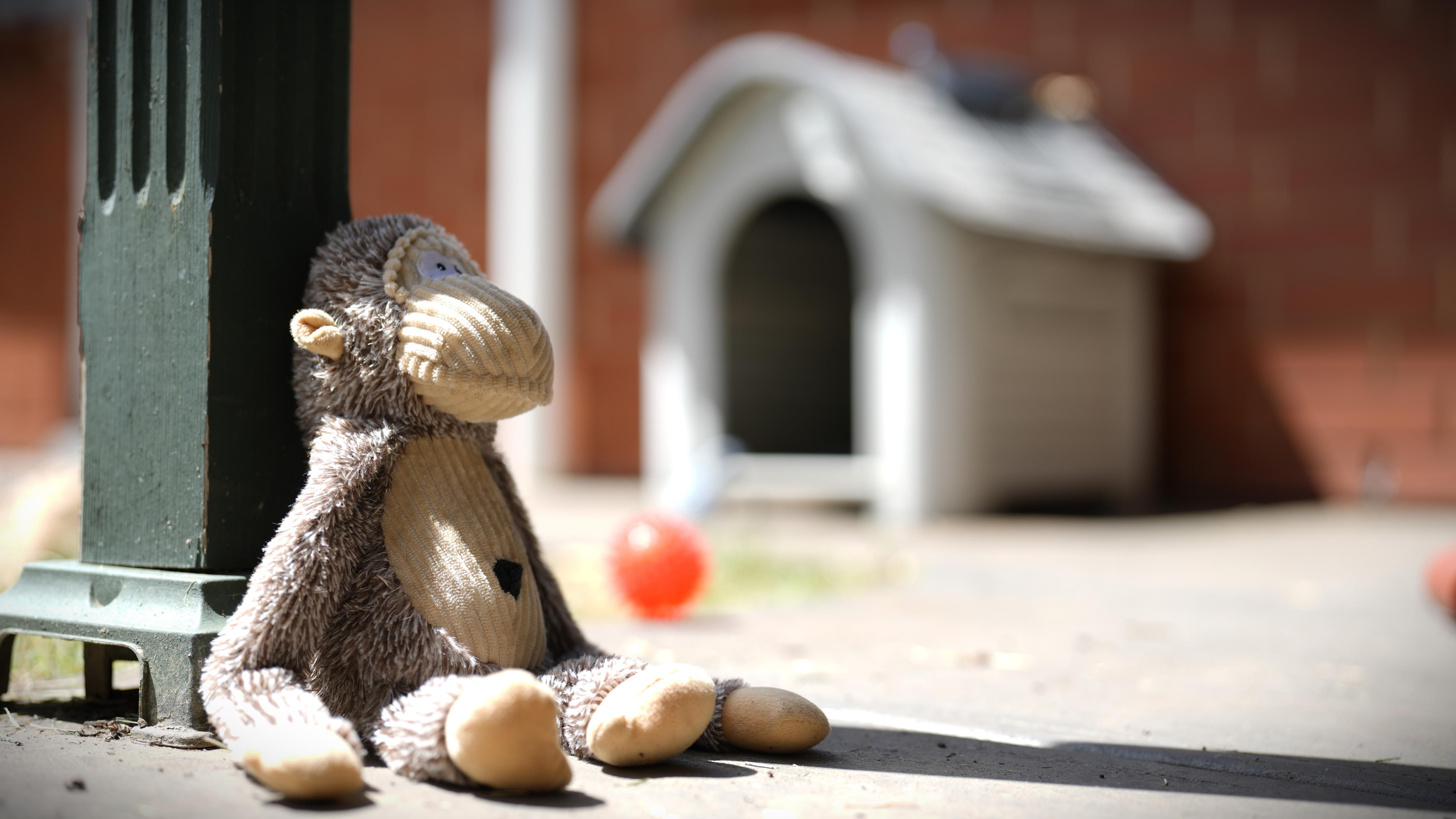 A dog toy that looks like a monkey and a red ball in the foreground of a dog house outside. It feels moody.