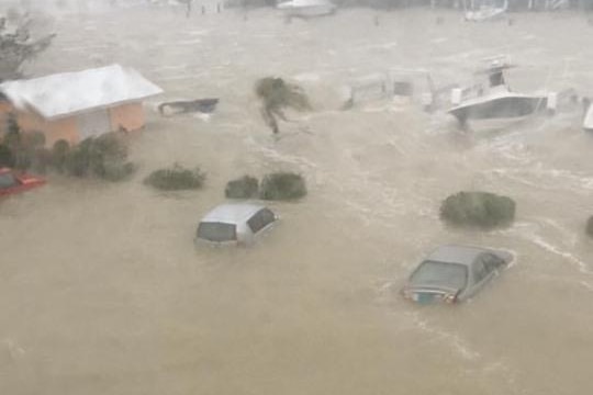 Cars are submerged by deep water on what should be dry land.