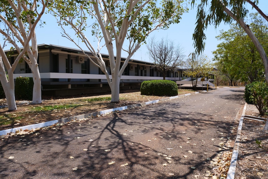 public building lines with gum trees