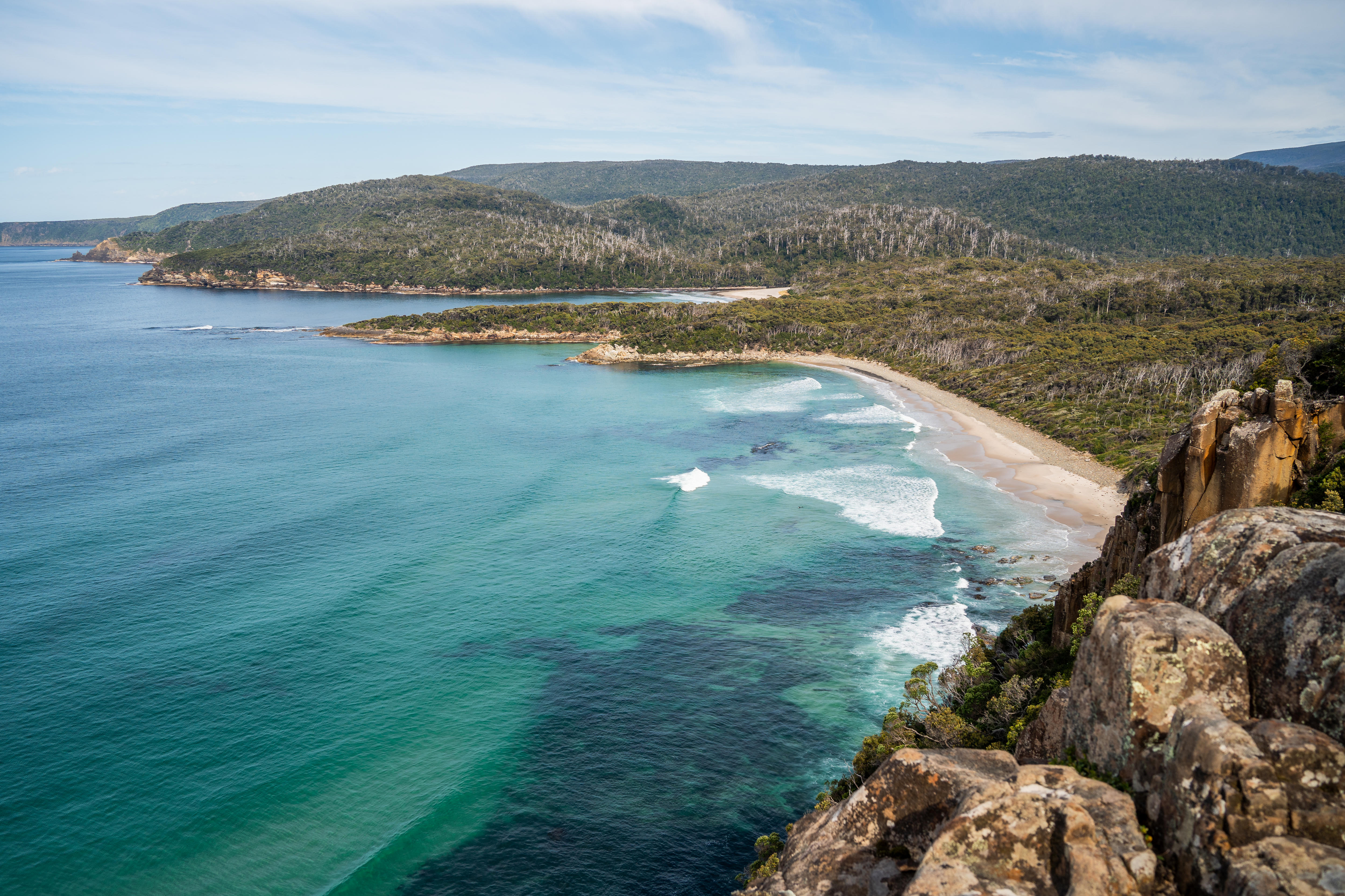 A view of a beach with turquoise water, amid forest