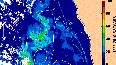 A graphic map showing cooler sea surface temperatures off the WA coast  on December 14, 2018.