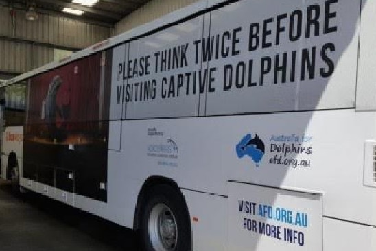 Side of bus depicting dolphin in fishbowl and a young girl with words Please think twice before visiting captive dolphins