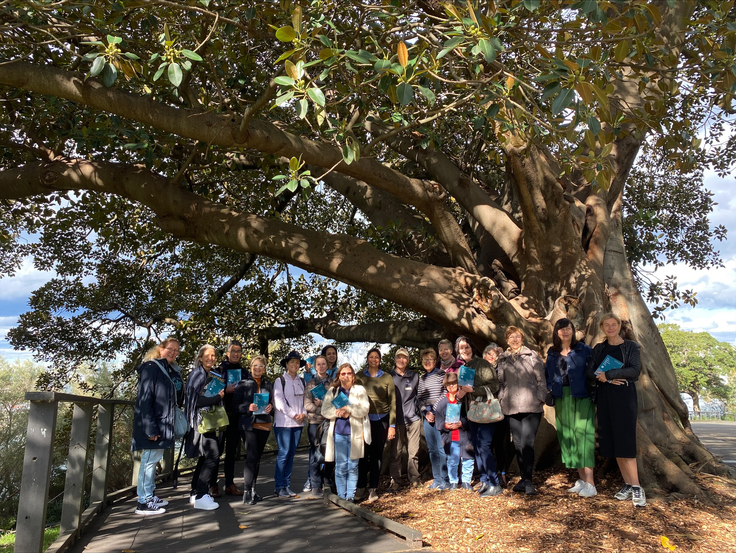 About 20 people stand underneath a giant Moreton Bay fig.